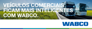 revisão 10 mil km
